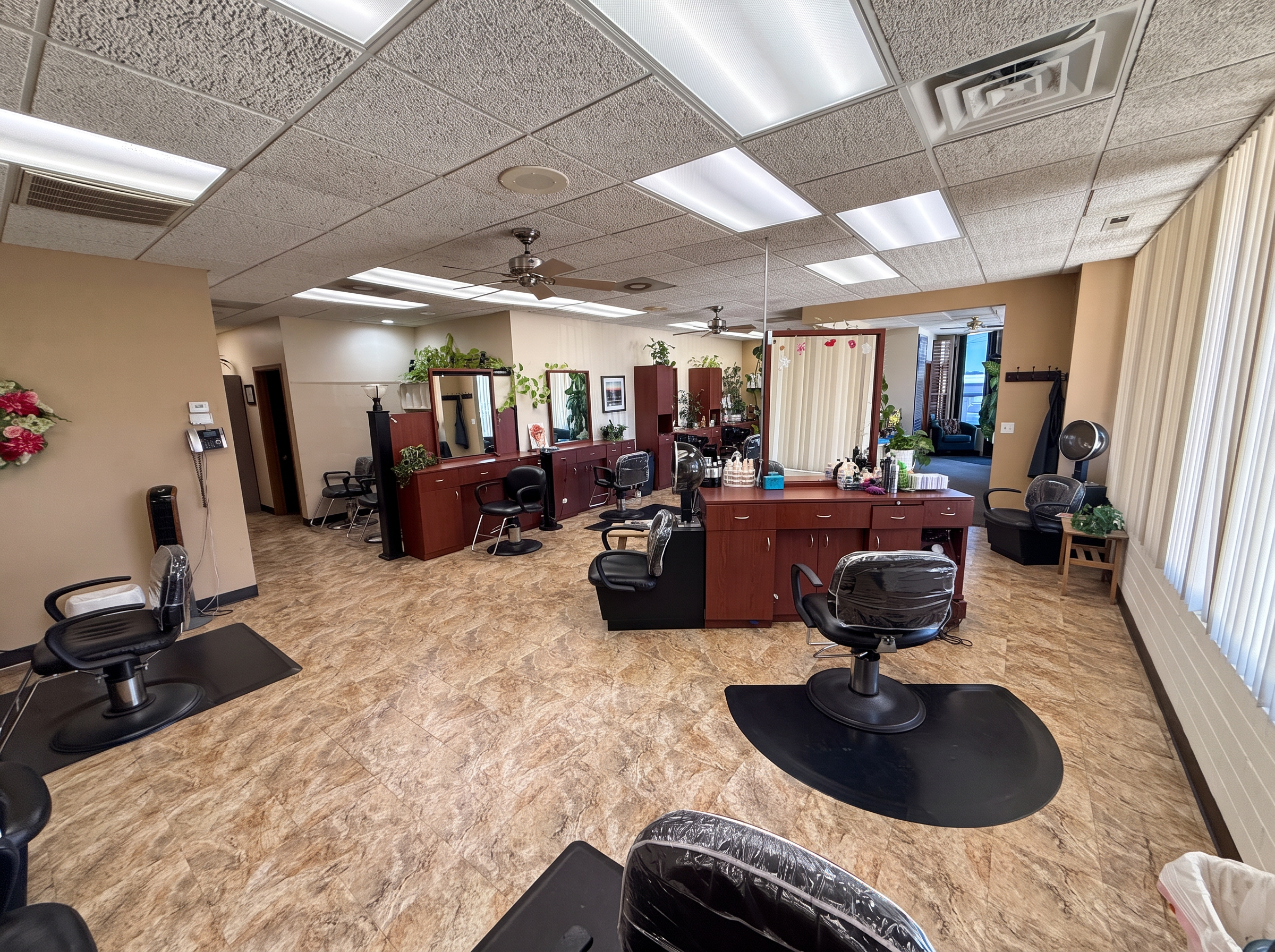 The main floor of Clipped Accent salon in Bellevue with multiple styling stations, mirrors, and plants